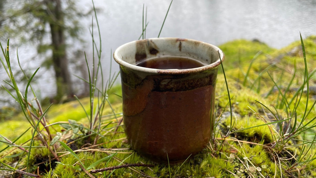 No. 41 - The Forest Is Waking Up—And So Is Your Tea Ritual