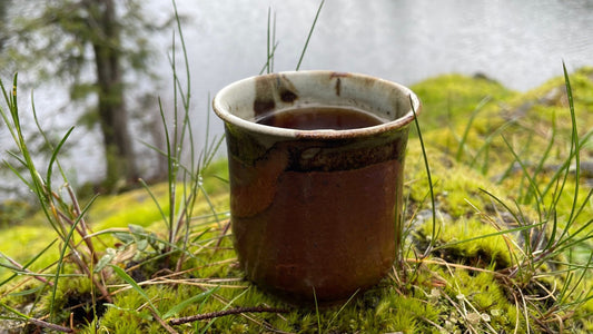 No. 41 - The Forest Is Waking Up—And So Is Your Tea Ritual