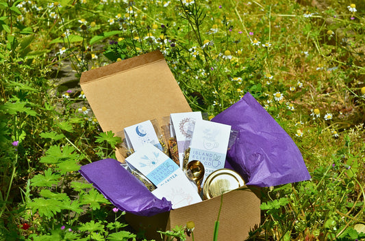 Day to Night Tea Bundle