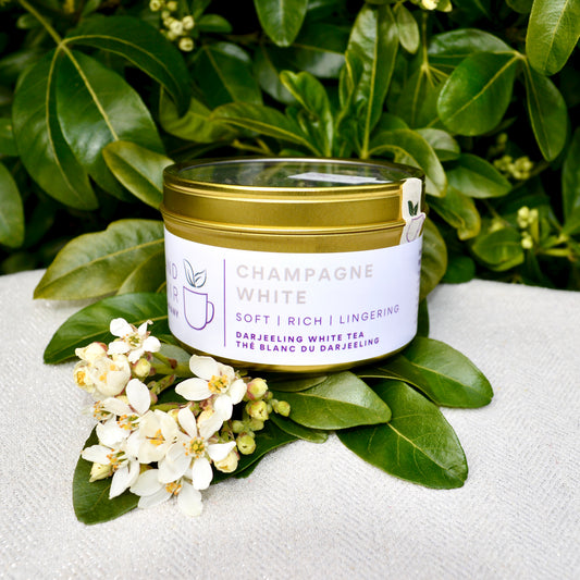 Champagne White tea from Darjeeling in Island Elixir Tea Company signature gold finish tin pictured on a white table with green leaves and white flowers in the background.