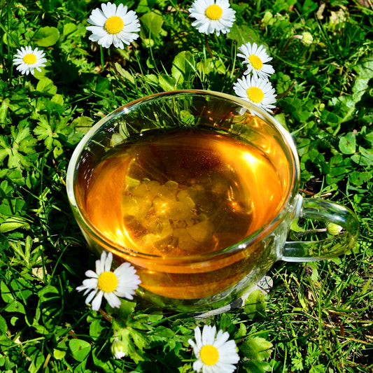 Kenyan Sun Kenyan yellow tea steeped in glass tea cup sitting in daisies