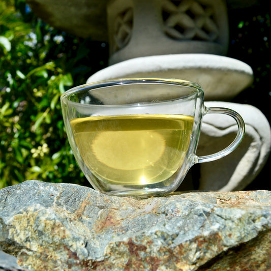 Sencha Fuji Japanese green tea steeped in glass cup, lightly-steamed asamushi