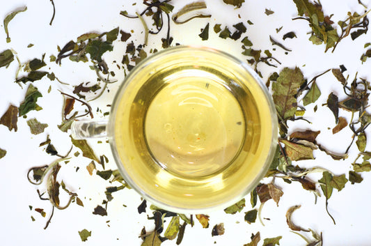 Bai Mu Dan Tea Brewed