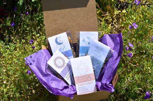 Day to Night Tea Bundle