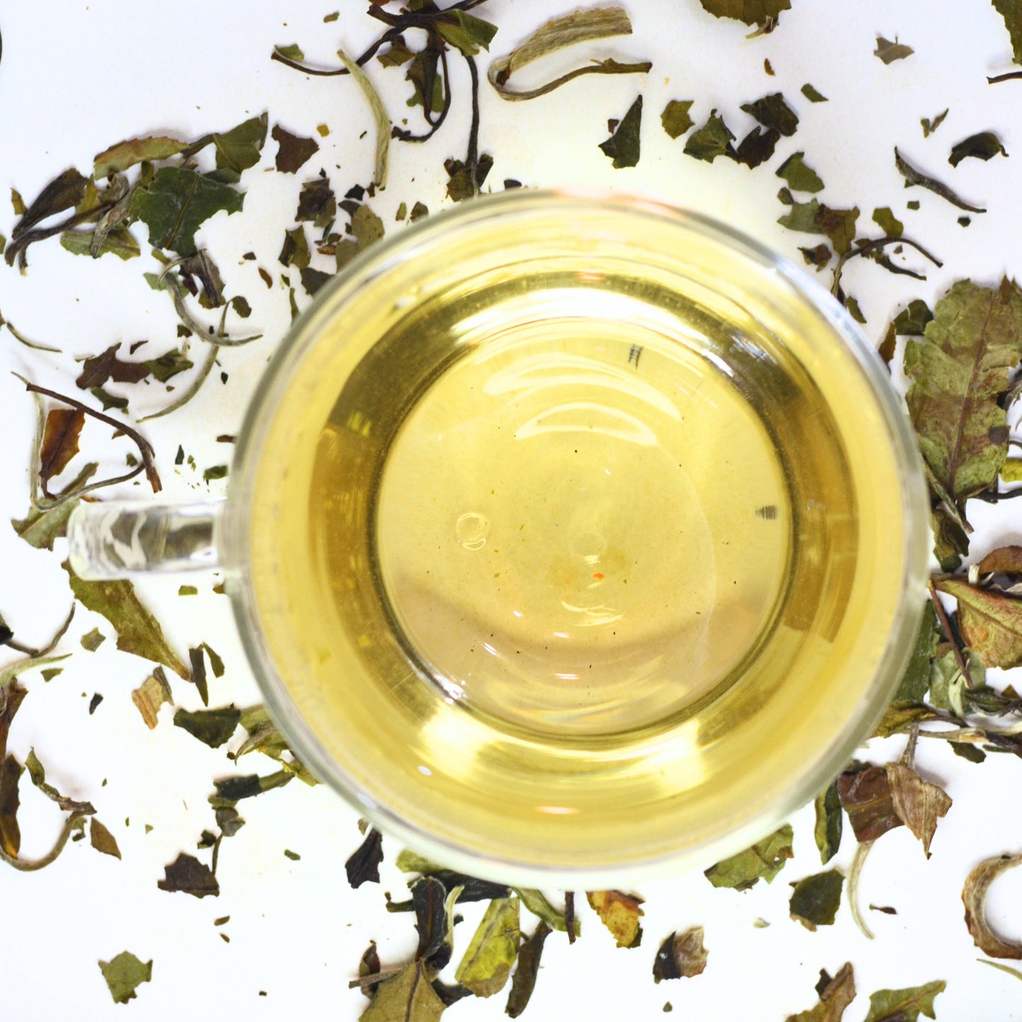 Bai Mu Dan sweet white tea. Tea Steeped in a glass cup surrounded by loose tea leaves.