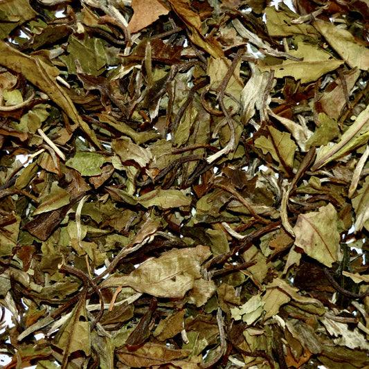 Bai Mu Dan Loose Leaf White Tea Chinese White Tea