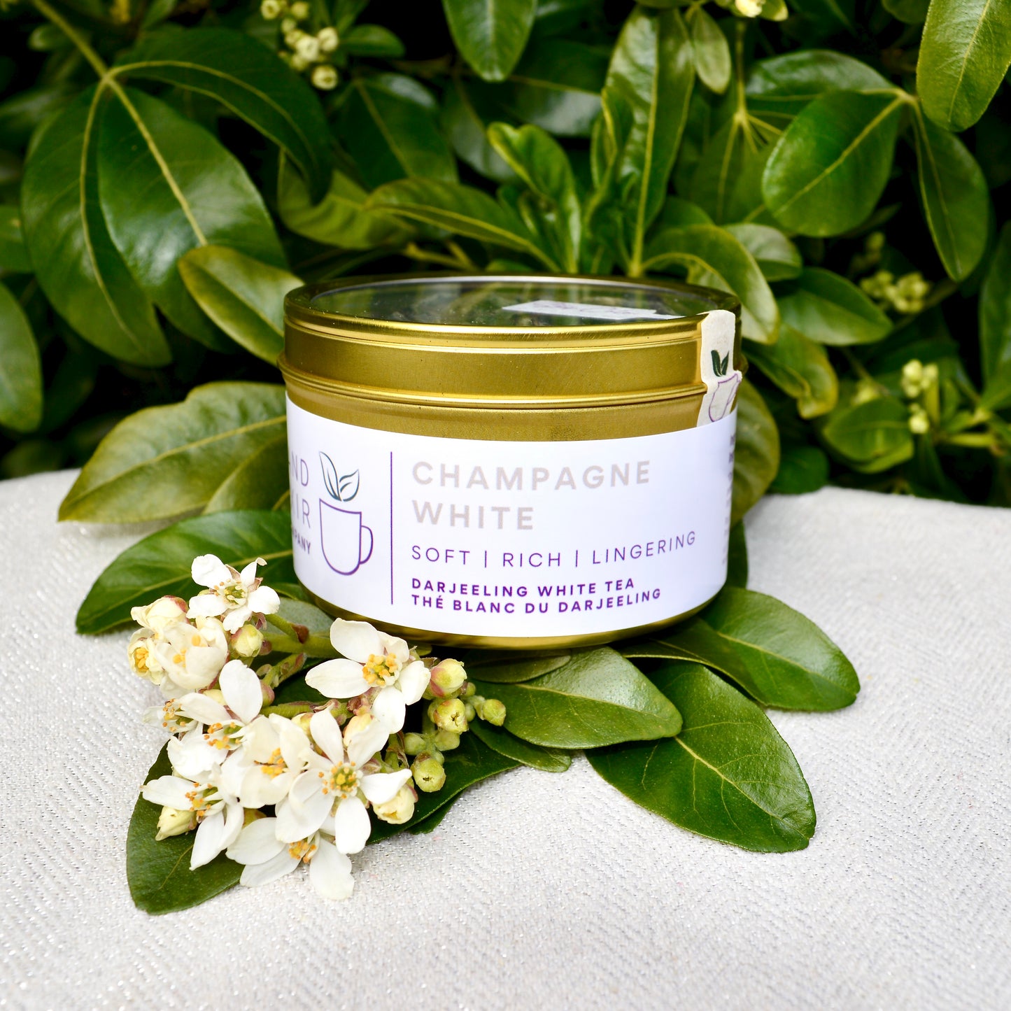 Champagne White tea from Darjeeling in Island Elixir Tea Company signature gold finish tin pictured on a white table with green leaves and white flowers in the background.