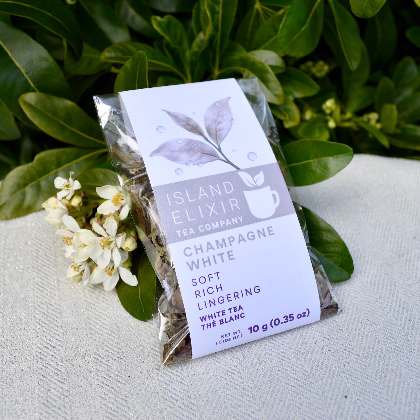 Island Elixir Tea Company package of Champagne White loose tea from Darjeeling on a white surface with green leaves in the background