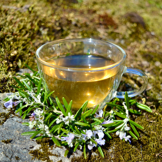 ClariTea green tea blend steeped in glass cup with rosemary around the bottom