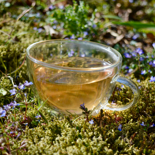 Farmers Green green tea steeped in glass cup in moss