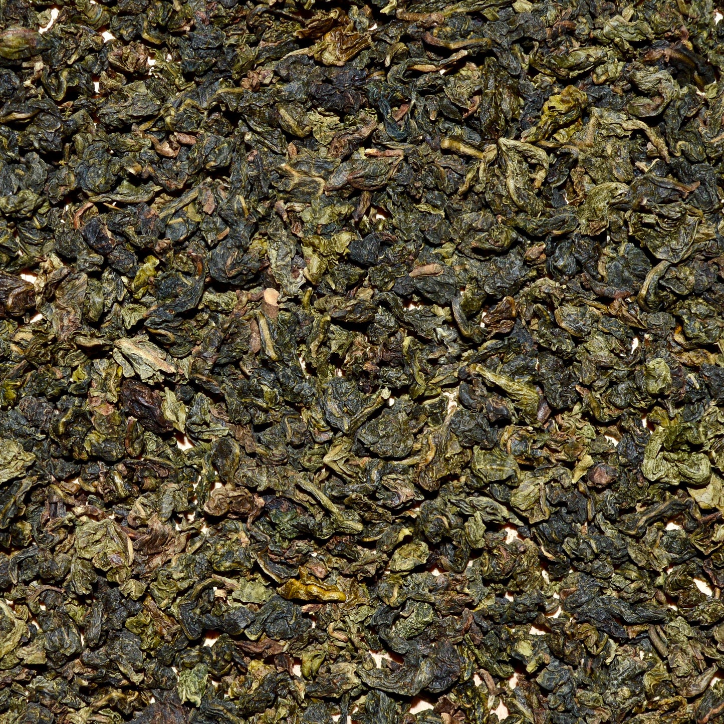 Golden Ember oolong tea dried tea leaves close up