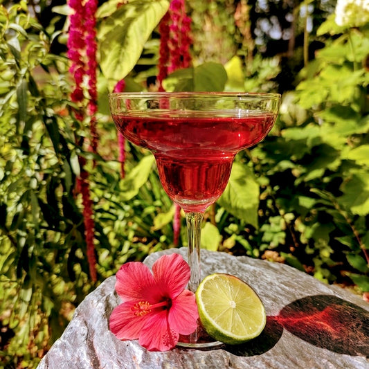 Hibiscus Tamarita margarita glass with lime and hibiscus flower, on a rock in a garden.
