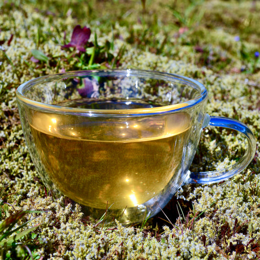 Ingenuitea green tea blend steeped in glass cup in moss