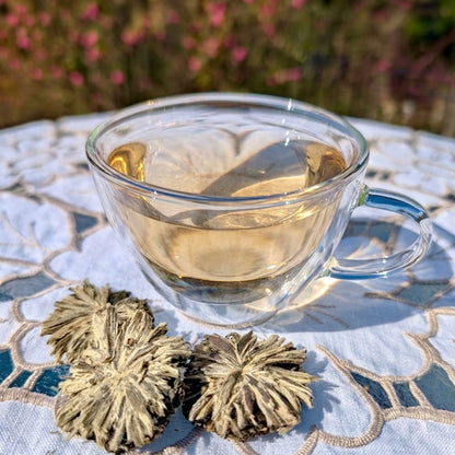 Jasmine Anemone wheel steeped in clear glass cup, on a table with cloth, flowers in back ground
