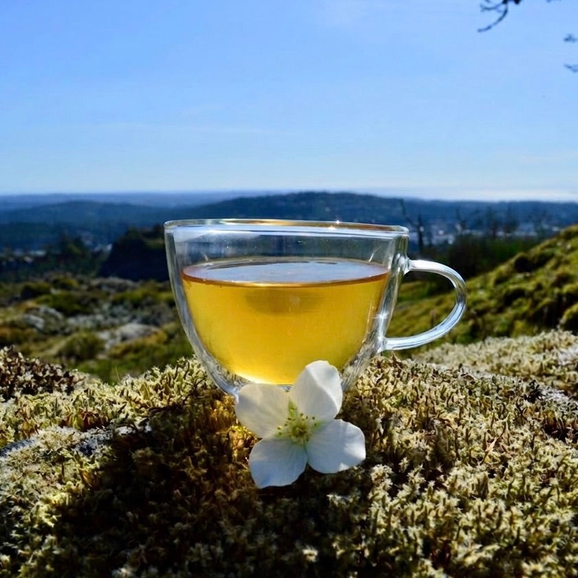 Jasmine Gold Dragon steeped in a glass cup on a mossy hill with a view