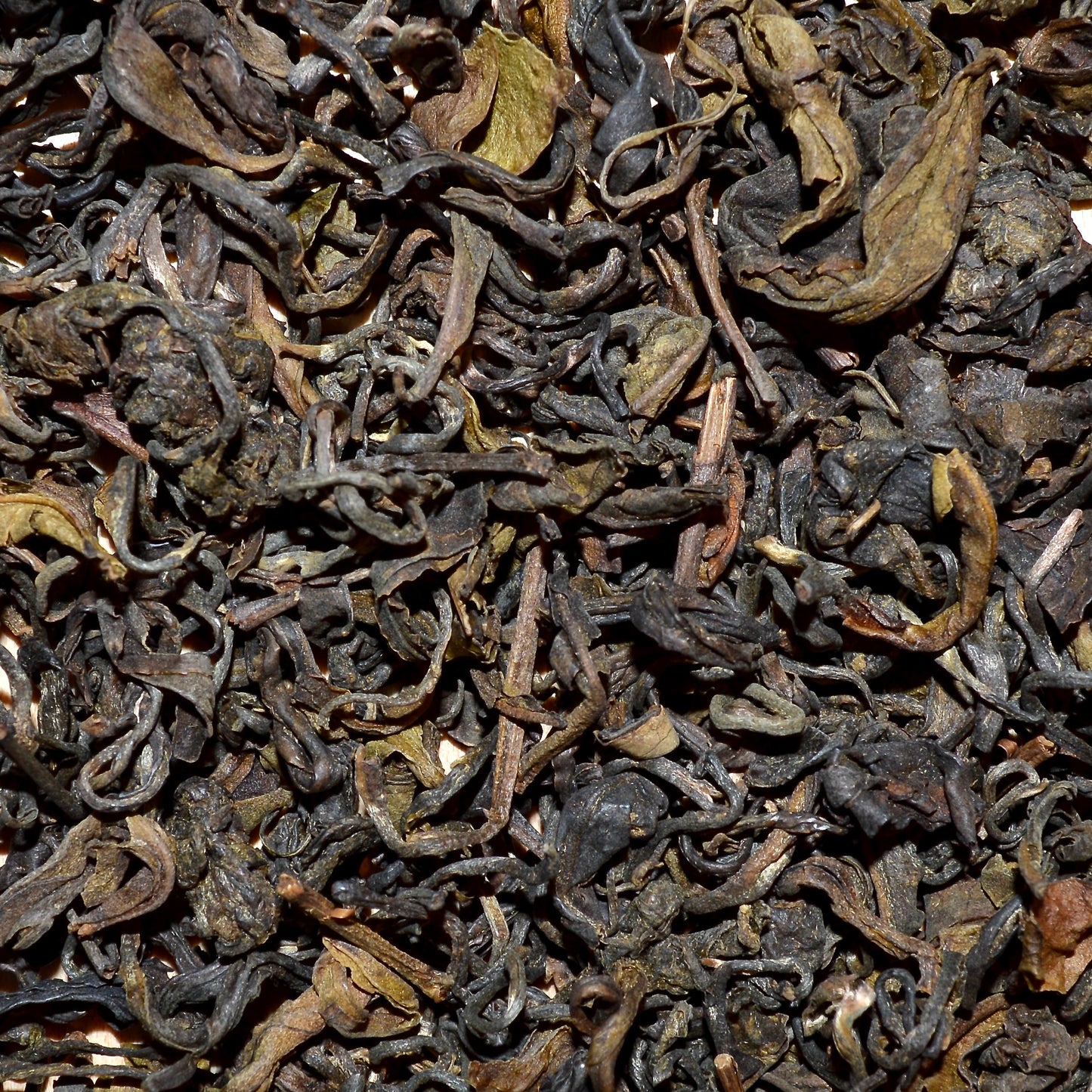 Kenyan Sun Kenyan yellow tea leaves dried and close up