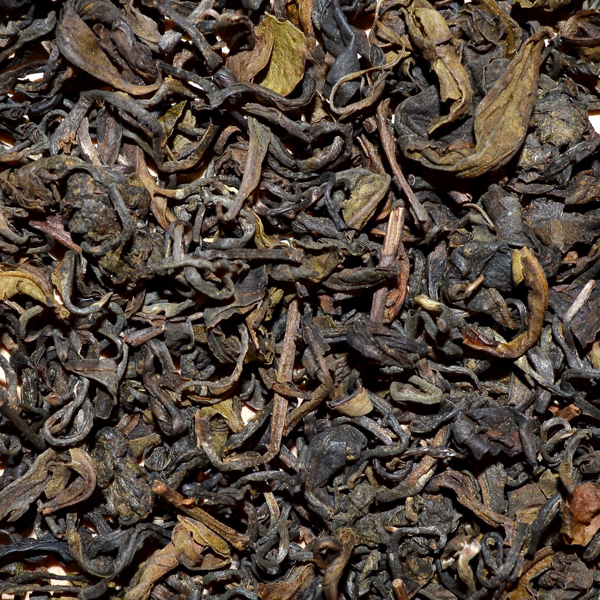 Kenyan Sun Kenyan yellow tea leaves dried and close up