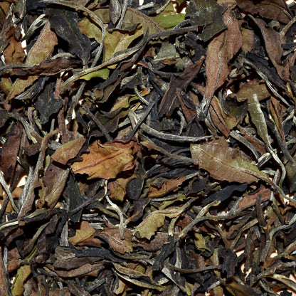 close-up of kiambo mist Kenyan white tea leaves