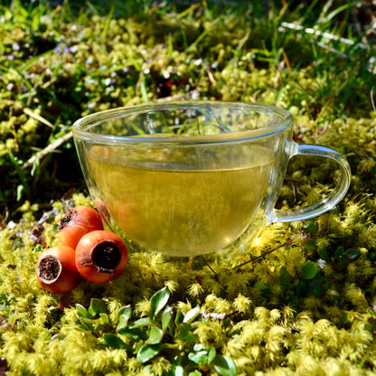 KoalaTea Steeped green tea blend on moss