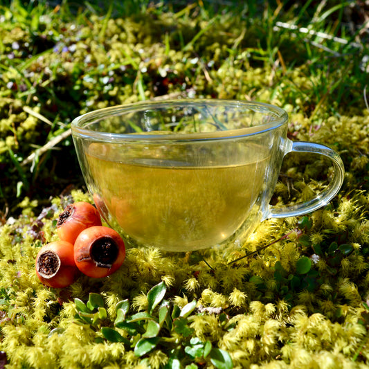 KoalaTea Steeped green tea blend on moss