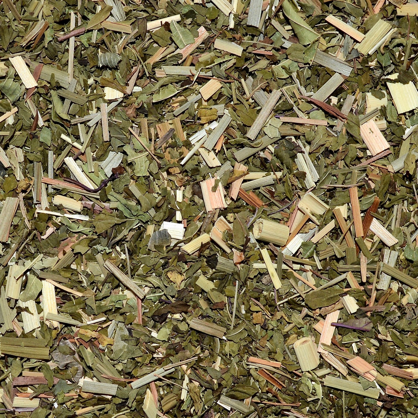 Mint loves lemongrass Dried Close up