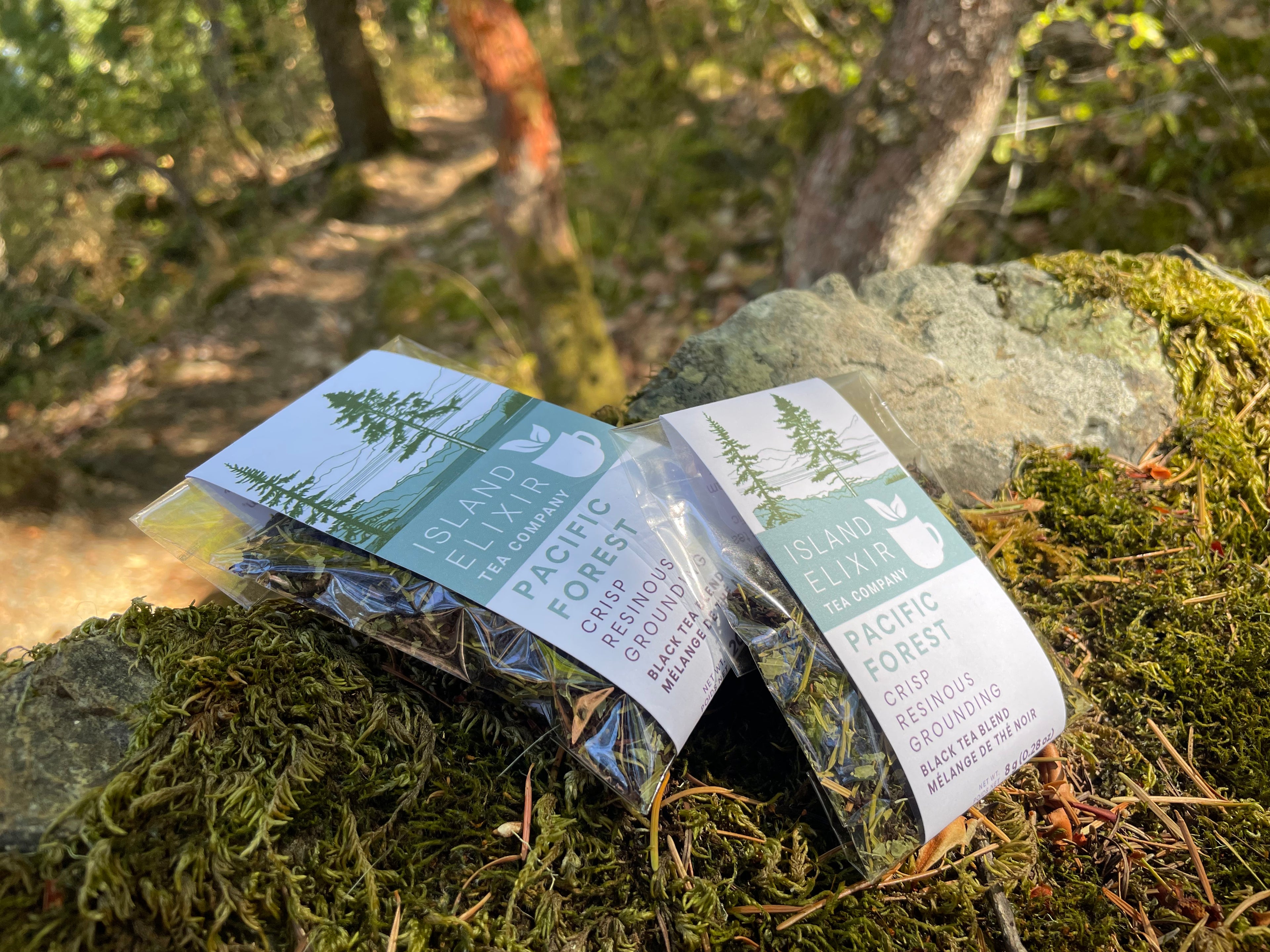 Two sizes of Island Elixir Tea Company Pacific Forest black tea blend sitting on a mossy rock at the side of a West Coast forest trail. Crisp, resinous, and grounding black tea blend with Ceylon black tea, wild-harvested Douglas Fir needles, and organic nettle leaf. 