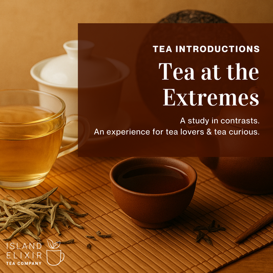 White Tea Puerh Tea Workshop VictoriaBC