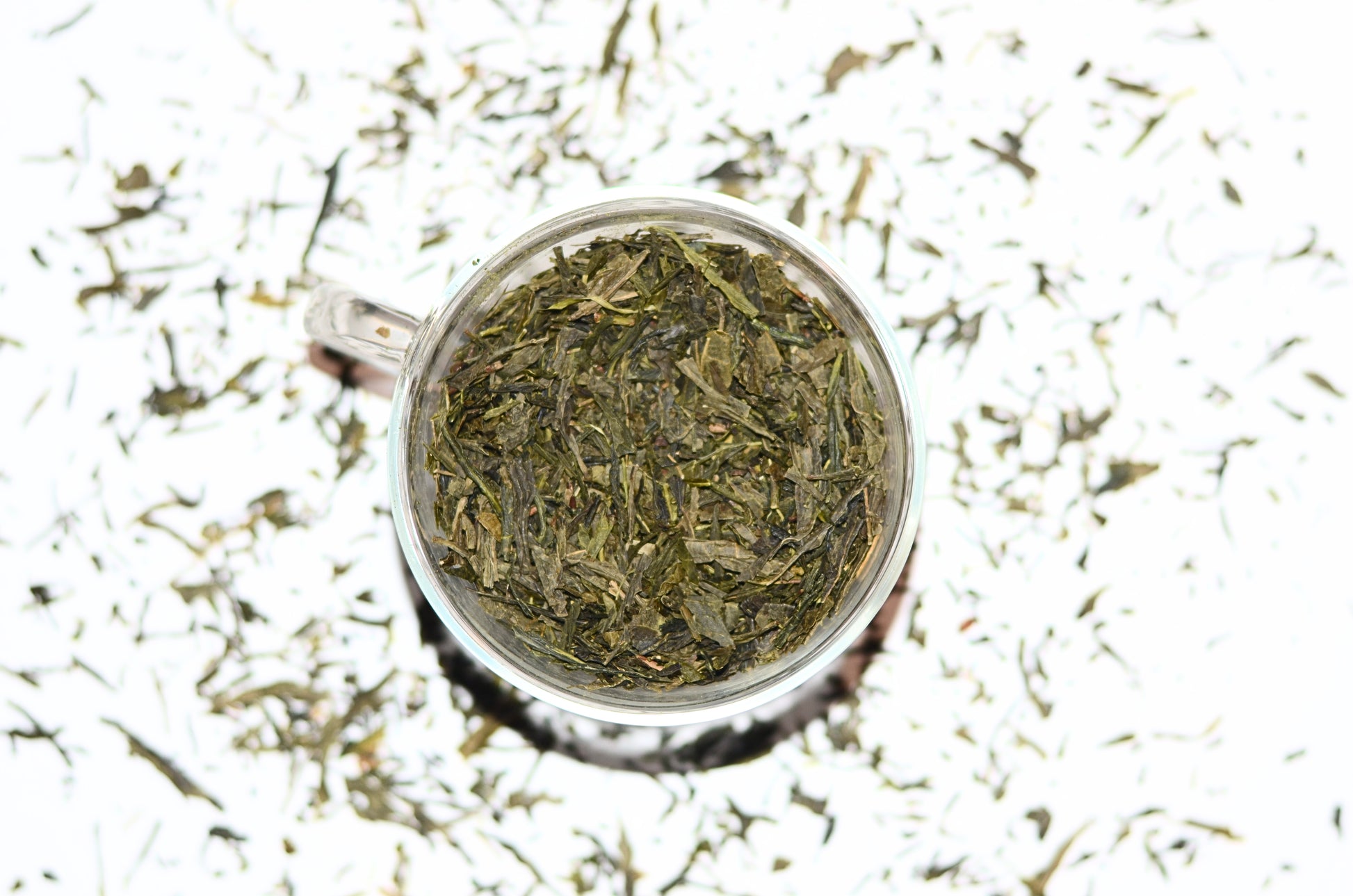 Sencha Fuji Tea