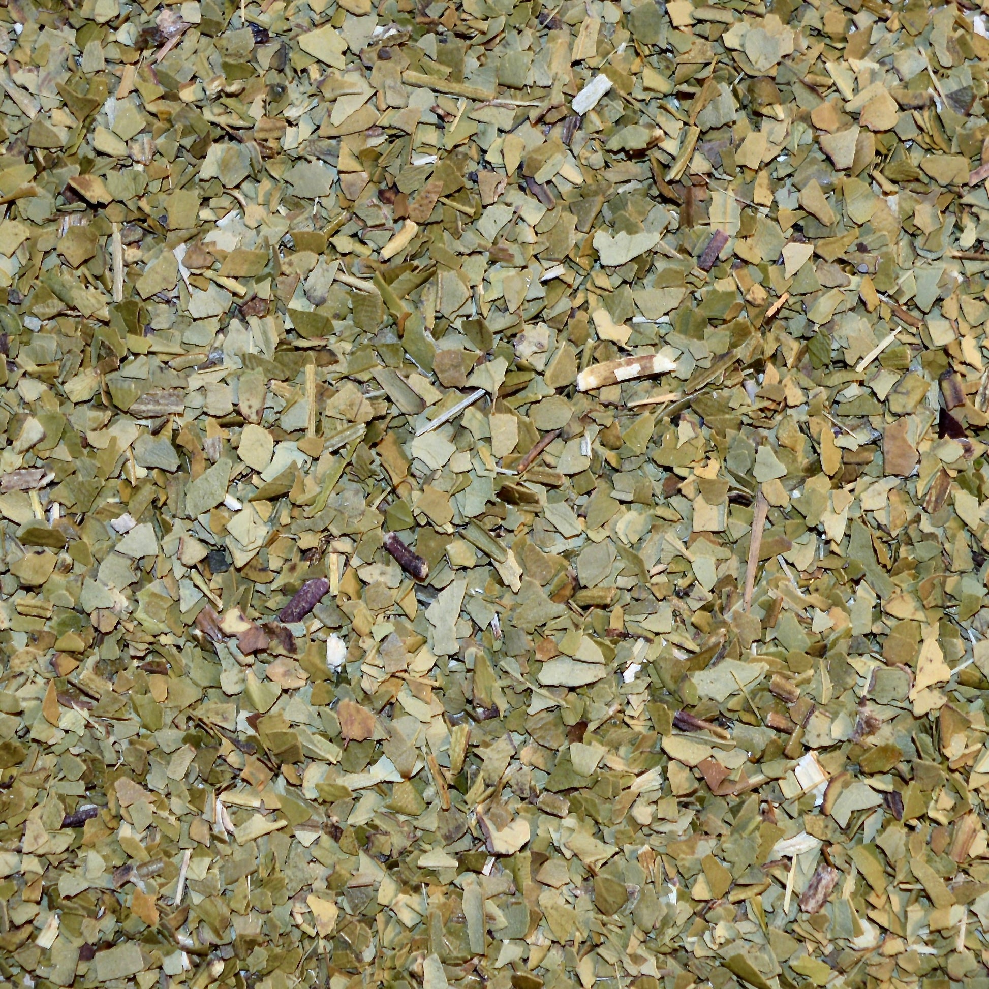 Mate dried close up, dried, loose leaf, green tea